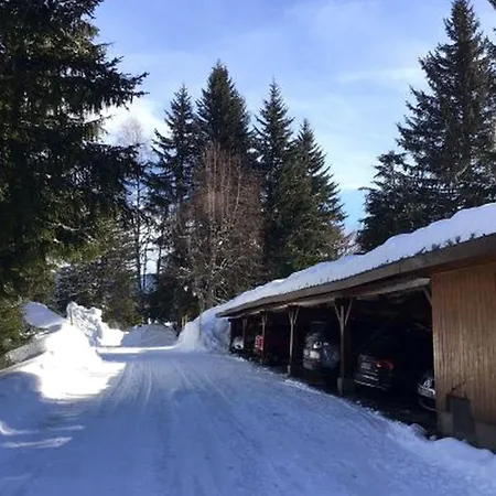 Charmant Chalet Familial, Idealement Situe, Aux Pieds Des Pistes Dans Domaine Privatif *